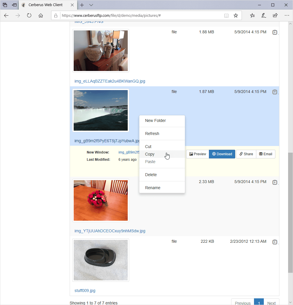 cerberus-web-client-file-manager Cerberus Web Client File Manager