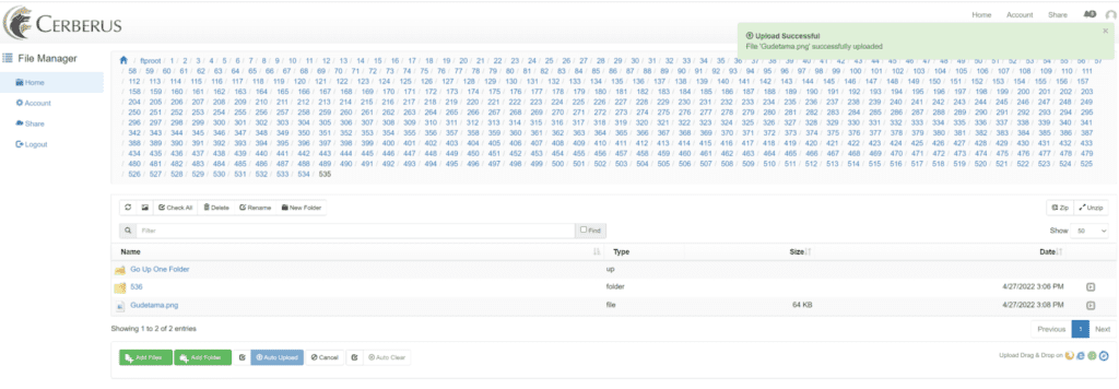 Example With Working Upload