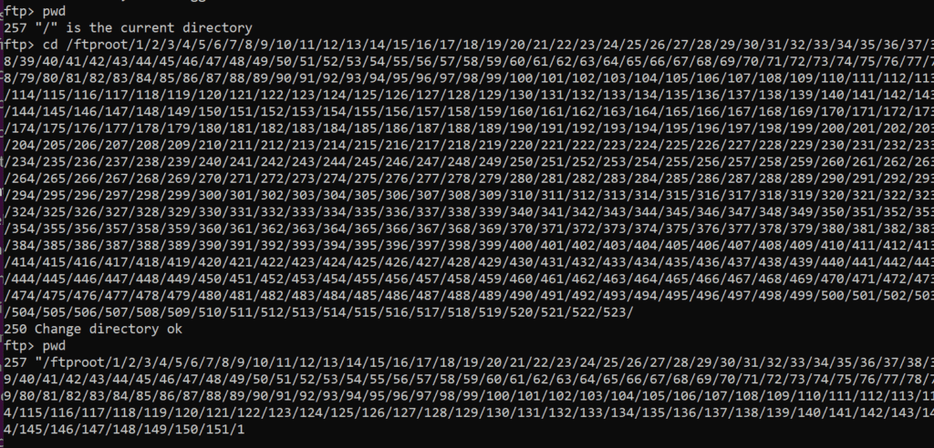 Invalid Change Directory and Path